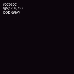 #0C060C - Cod Gray Color Image