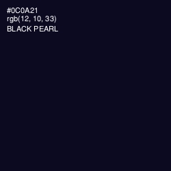 #0C0A21 - Black Pearl Color Image