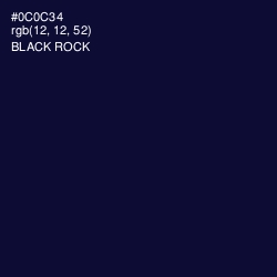 #0C0C34 - Black Rock Color Image