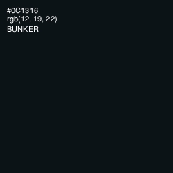#0C1316 - Bunker Color Image
