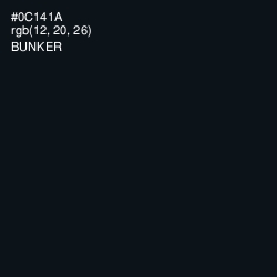 #0C141A - Bunker Color Image