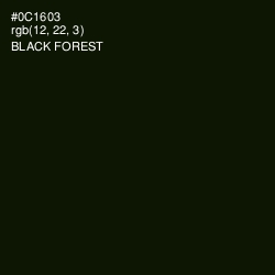 #0C1603 - Black Forest Color Image
