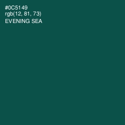 #0C5149 - Evening Sea Color Image