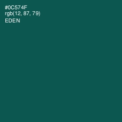 #0C574F - Eden Color Image