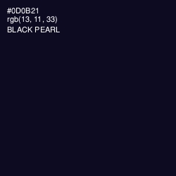 #0D0B21 - Black Pearl Color Image