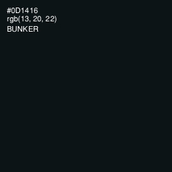 #0D1416 - Bunker Color Image