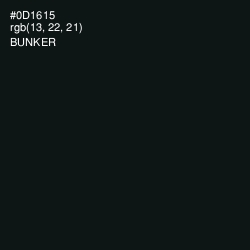 #0D1615 - Bunker Color Image