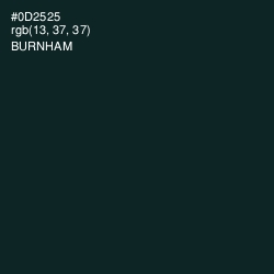 #0D2525 - Burnham Color Image