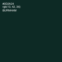#0D2A24 - Burnham Color Image