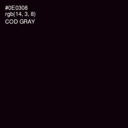 #0E0308 - Cod Gray Color Image