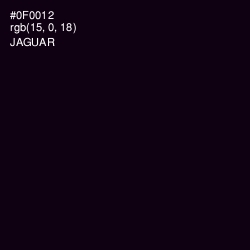 #0F0012 - Jaguar Color Image