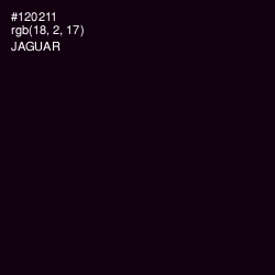 #120211 - Jaguar Color Image