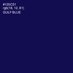 #120C51 - Gulf Blue Color Image