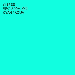 #12FEE1 - Cyan / Aqua Color Image