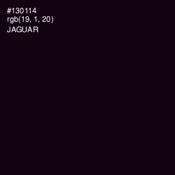 #130114 - Jaguar Color Image