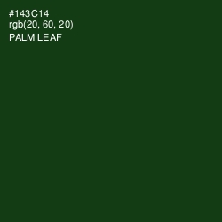#143C14 - Palm Leaf Color Image