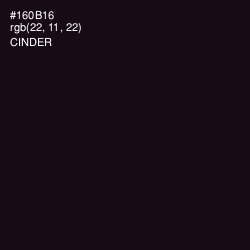 #160B16 - Cinder Color Image