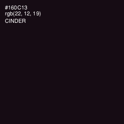 #160C13 - Cinder Color Image