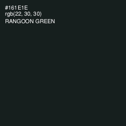 #161E1E - Rangoon Green Color Image