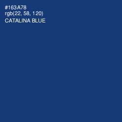 #163A78 - Catalina Blue Color Image