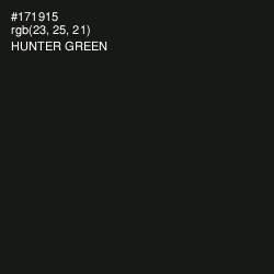 #171915 - Hunter Green Color Image