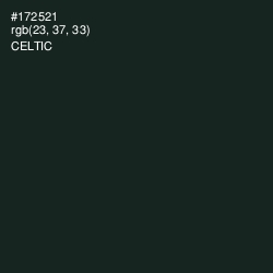 #172521 - Celtic Color Image