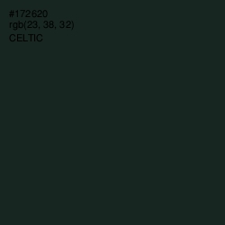 #172620 - Celtic Color Image