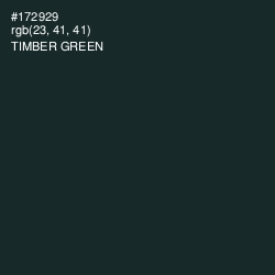 #172929 - Timber Green Color Image