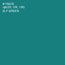 #17807E - Elf Green Color Image