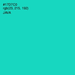 #17D7C0 - Java Color Image