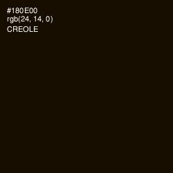 #180E00 - Creole Color Image