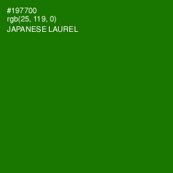 #197700 - Japanese Laurel Color Image