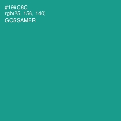 #199C8C - Gossamer Color Image
