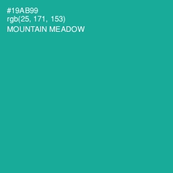 #19AB99 - Mountain Meadow Color Image