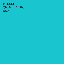#19C5CF - Java Color Image