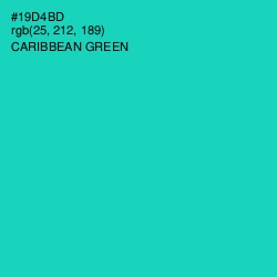 #19D4BD - Caribbean Green Color Image
