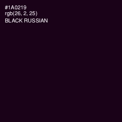 #1A0219 - Black Russian Color Image