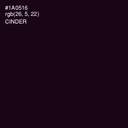 #1A0516 - Cinder Color Image