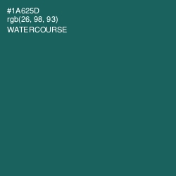 #1A625D - Watercourse Color Image