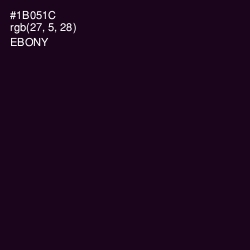 #1B051C - Ebony Color Image