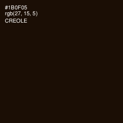 #1B0F05 - Creole Color Image