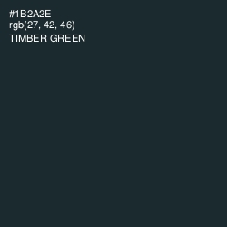 #1B2A2E - Timber Green Color Image