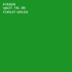 #1B9626 - Forest Green Color Image