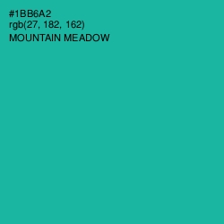#1BB6A2 - Mountain Meadow Color Image