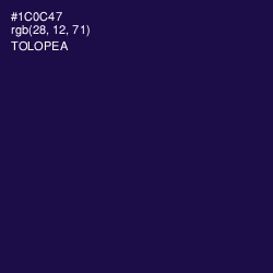 #1C0C47 - Tolopea Color Image