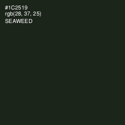 #1C2519 - Seaweed Color Image