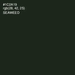 #1C2A19 - Seaweed Color Image