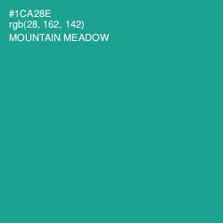 #1CA28E - Mountain Meadow Color Image