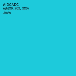 #1DCADC - Java Color Image