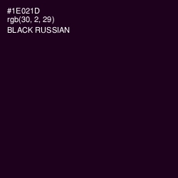 #1E021D - Black Russian Color Image